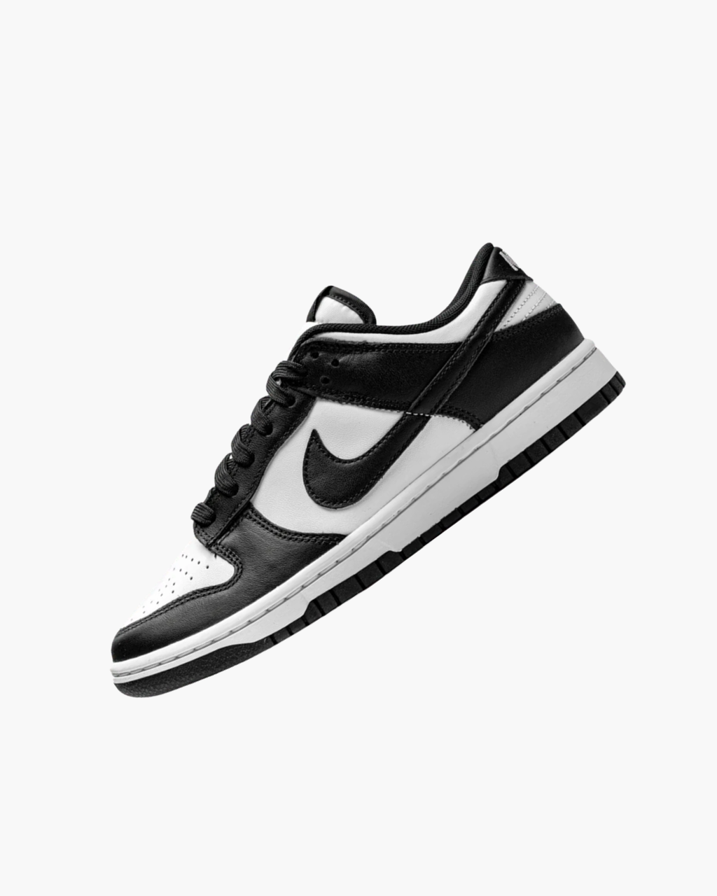 NK DUNK LOW