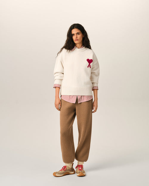 Pull en laine Ami