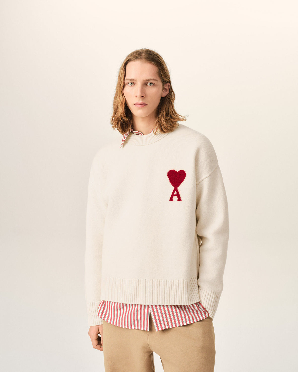 Pull en laine Ami