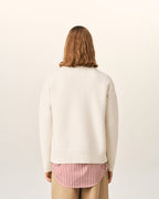 Pull en laine Ami